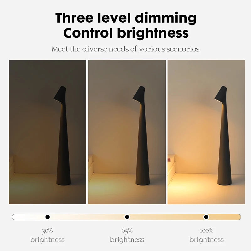 Portable LED Table Lamp USB Rechargeable Desk Light Creative Decorative Lighting