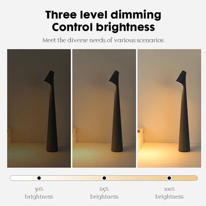 Portable LED Table Lamp USB Rechargeable Desk Light Creative Decorative Lighting